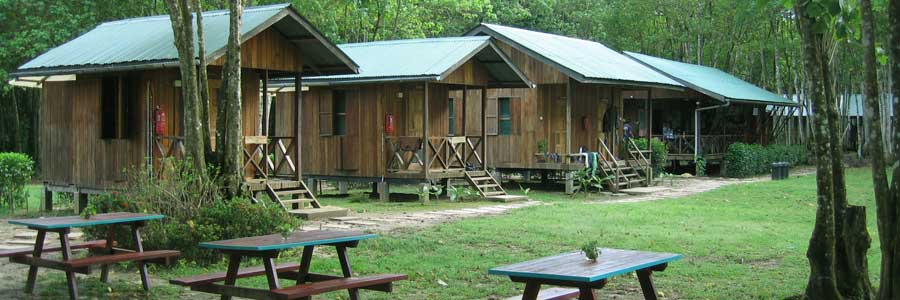 Nature Lodge Kinabatangan: Civet Cabin and Common Dining Area at far right